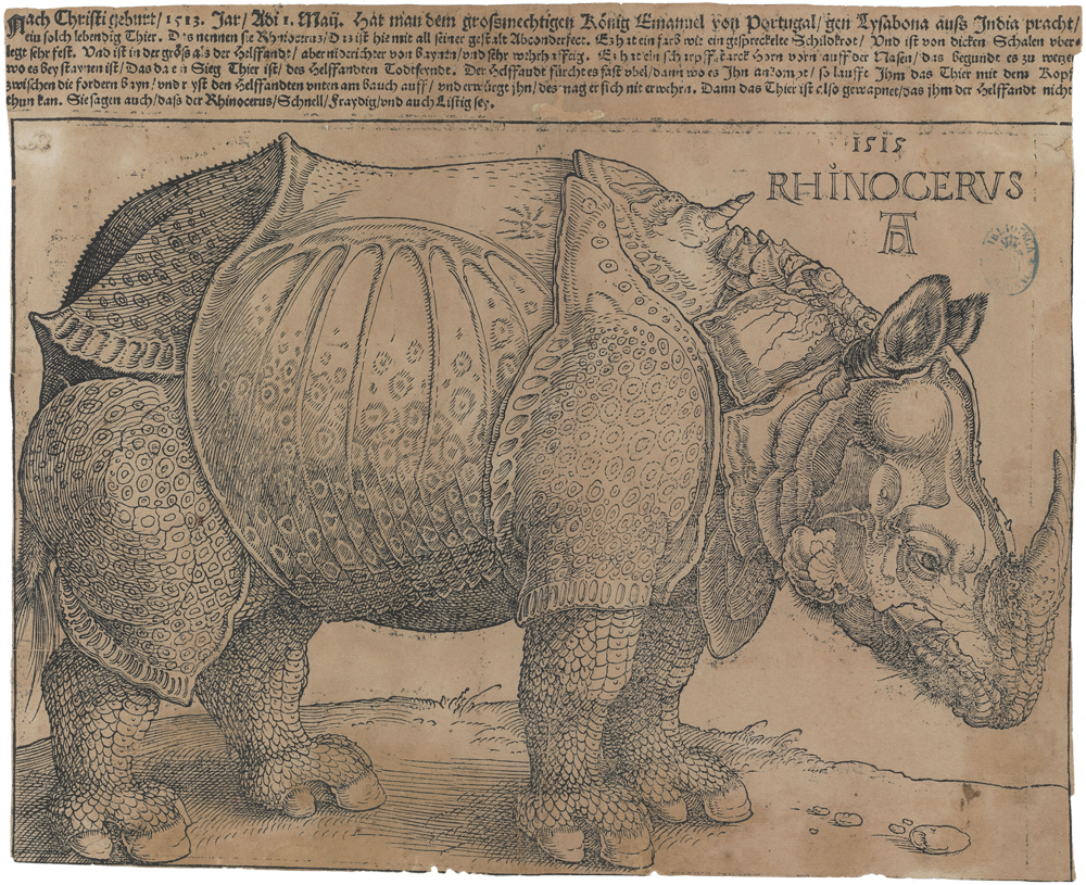 rinoceronte-durero-1515